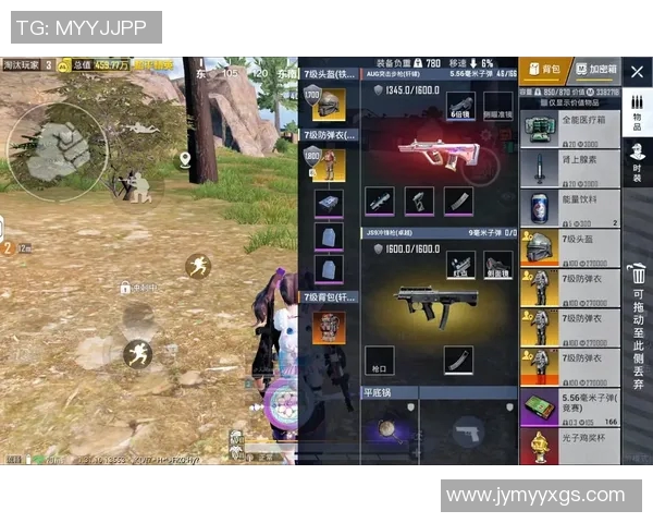 和平精英专题：深入探讨WE战队在战术灵活性上的独特优势与表现