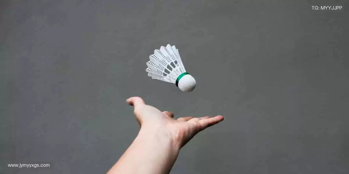 💻指尖滑动，实时掌控赛场风云！📡